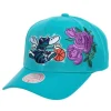 Secondary Roses Pro Snapback Hwc Charlotte Hornets