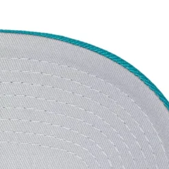 Secondary Roses Pro Snapback Hwc Charlotte Hornets