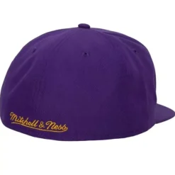 Shark Bite Fitted Hwc Hat Los Angeles Lakers