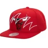 Shark Bite Snapback Chicago Bulls