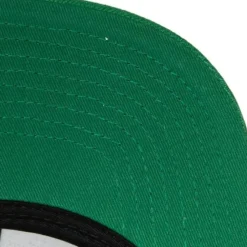 Sharktooth Snapback Hwc Boston Celtics