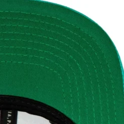 Side Core 2.0 Snapback Hwc Vancouver Grizzlies