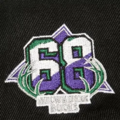 Side Jam Snapback Hwc Milwaukee Bucks