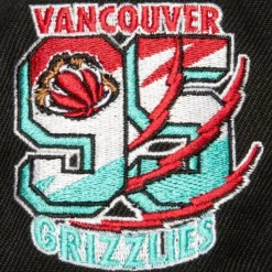 Side Jam Snapback Hwc Vancouver Grizzlies
