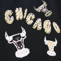 Sidewalk Sketch Shorts Hwc Chicago Bulls