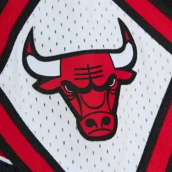 Slap Sticker Swingman Chicago Bulls 1997-98 Shorts
