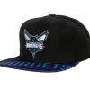 Snapshot Snapback Charlotte Hornets