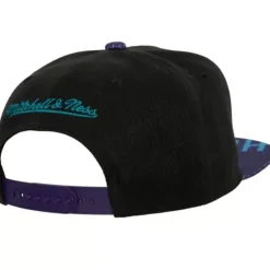Snapshot Snapback Charlotte Hornets