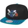 Snapshot Snapback Hwc Charlotte Hornets