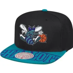 Snapshot Snapback Hwc Charlotte Hornets