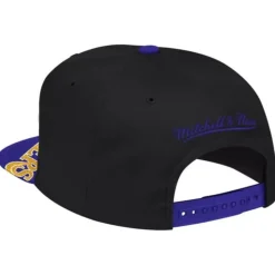 Snapshot Snapback Los Angeles Lakers