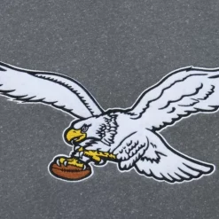 Snow Washed Fleece Crew Vintage Logo Philadelphia Eagles