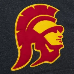 Snow Washed Fleece Hoodie Current Logo Usc