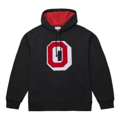 Snow Washed Fleece Hoodie Current Logo Ohio State