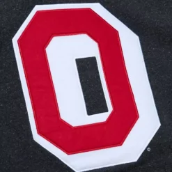 Snow Washed Fleece Hoodie Current Logo Ohio State