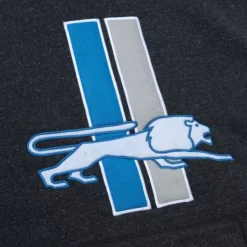 Snow Washed Fleece Hoodie Detroit Lions