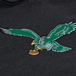 Snow Washed Fleece Hoodie Philadelphia Eagles