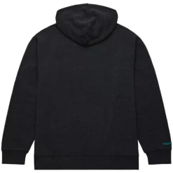 Snow Washed Fleece Hoodie Charlotte Hornets