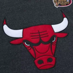 Snow Washed Fleece Hoodie Chicago Bulls