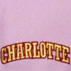 So Fresh Snapback Hwc Charlotte Hornets