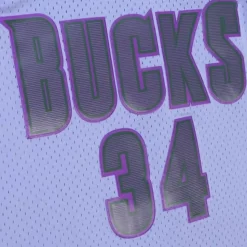 Space Knit Swingman Ray Allen Milwaukee Bucks 2000-01 Jersey