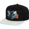 Ssbsts Snapback Hwc Charlotte Hornets