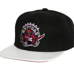 Ssbsts Snapback Hwc Toronto Raptors