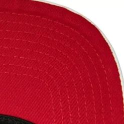 Ssbsts Snapback Hwc Toronto Raptors