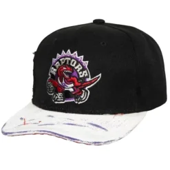 Ssbsts Snapback Hwc Toronto Raptors