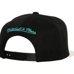 Ssbsts Snapback Hwc Vancouver Grizzlies