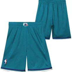 Swingman Charlotte Hornets Road Shorts