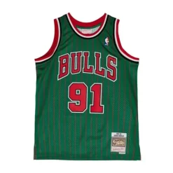 Swingman Dennis Rodman Chicago Bulls 1996-07 Jersey