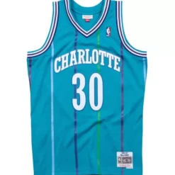 Swingman Jersey Charlotte Hornets Road 1992-93 Dell Curry