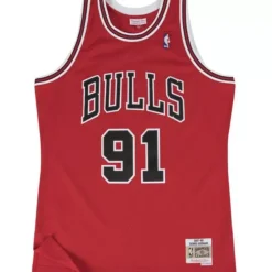 Swingman Jersey Chicago Bulls Road 1997-98 Dennis Rodman