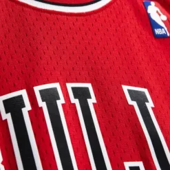 Swingman Jersey Chicago Bulls 1997-98 Toni Kukoc