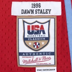 Swingman Jersey Team Usa 1996 Dawn Staley