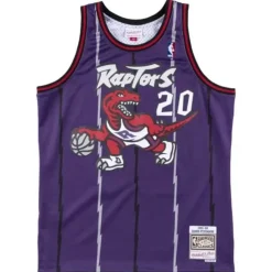 Swingman Jersey Toronto Raptors Road 1995-96 Damon Stoudamire