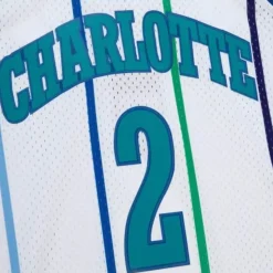 Swingman Larry Johnson Charlotte Hornets 1992-93 Jersey