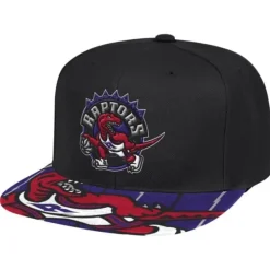 Swingman Pop Snapback Hwc Toronto Raptors