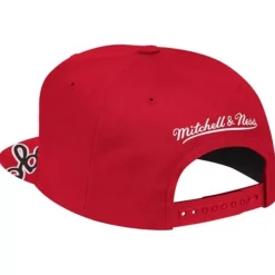 Swingman Pop Snapback Hwc Chicago Bulls