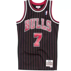 Swingman Toni Kukoc Chicago Bulls 1995-96 Jersey