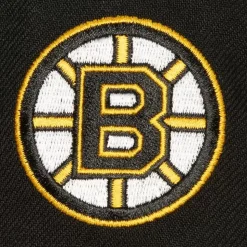 Tailsweep 2.0 Pro Snapback Boston Bruins