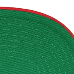 Tailsweep 2.0 Pro Snapback V Ohio State
