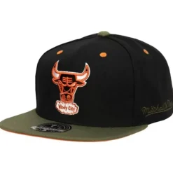 Take Flight Fitted Hwc Chicago Bulls