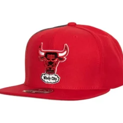 Tapestry Fitted Hwc Chicago Bulls