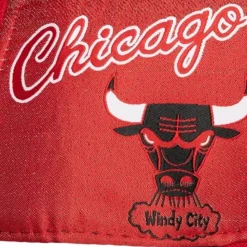 Tapestry Fitted Hwc Chicago Bulls