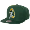 Tapestry Snapback Green Bay Packers