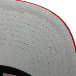 Tapestry Snapback San Francisco 49Ers