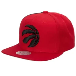 Tapestry Snapback Toronto Raptors