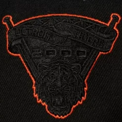 Tc Bottoms Snapback Detroit Tigers